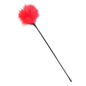 Pluma Erótica Para Masaje Caricias Pareja Juego Adultos Bondage Sado